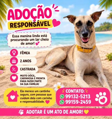 Adoção responsável
