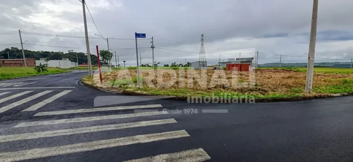 Terreno Padrão em São Carlos