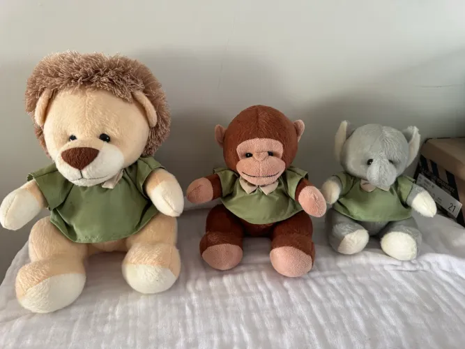 Kit urso safari-enxoval bebê 