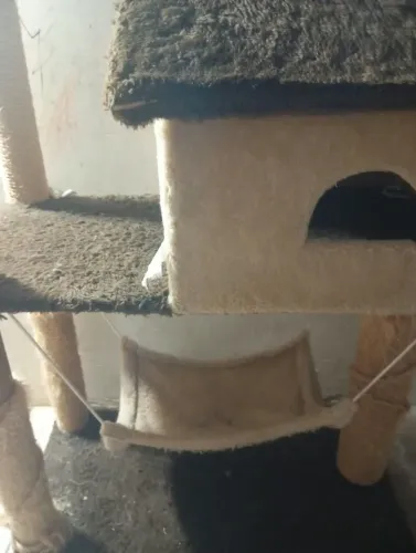 Casa de gato com arranhador 