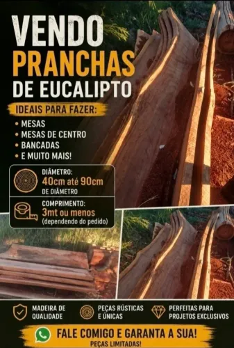 Pranchas de eucalipto rusticas 