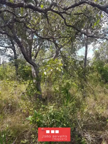 Fazenda para Venda em Rio Sono