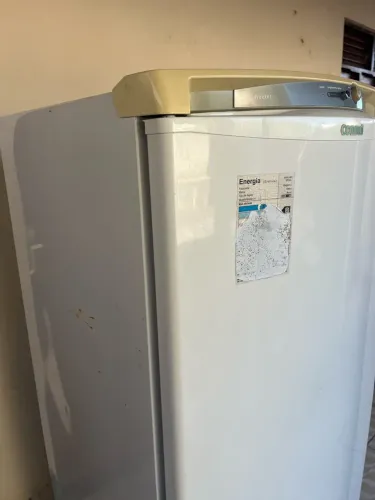 Freezer vertical consul 