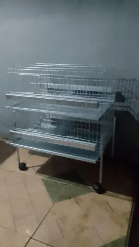 Vendo gaiola de codorna nunca usada