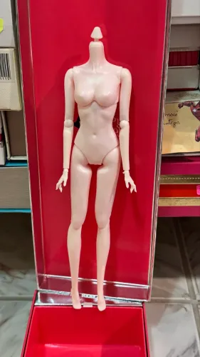 Corpo pra Barbie e similares