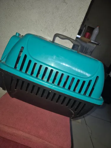 Caixa transportadora pet