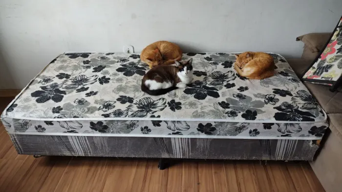 Cama box solteiro 