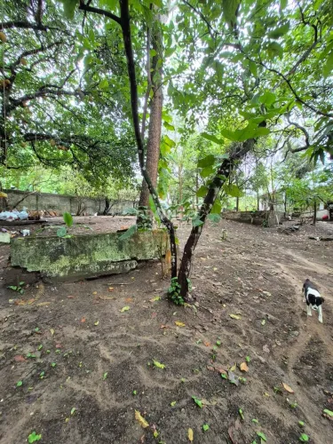 Lote/Terreno/Condomínio em Guabiraba