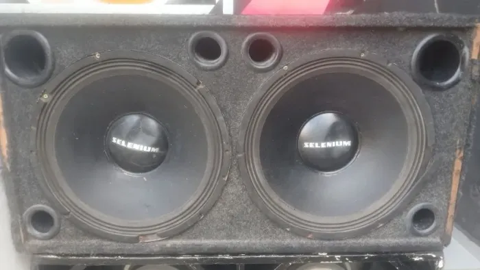 ALTO FALANTE SELENIUM 500 RMS COM CAIXA
