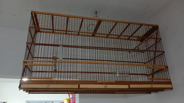 Voador de 75 cm pra vender e troca em outra quadrada Boa