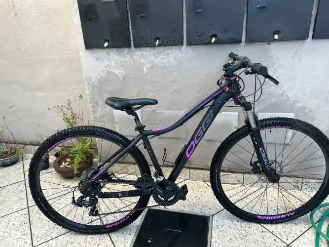 Bicicleta oggi aro 29
