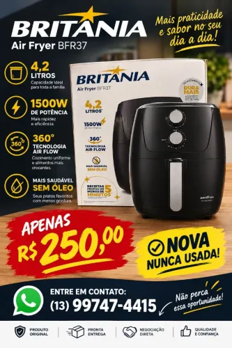 Airfryer 110v