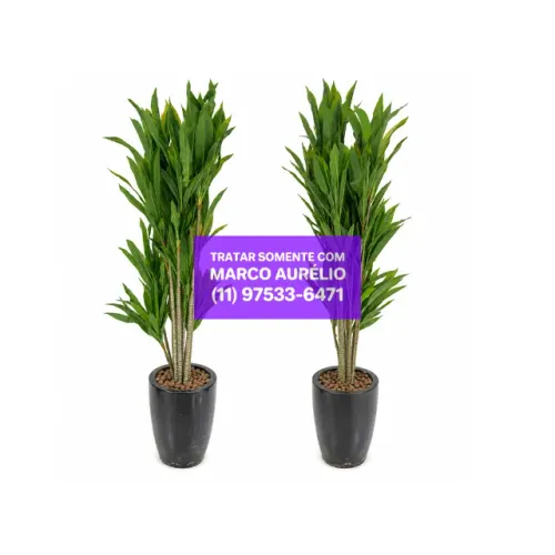 Kit 2x Plantas Artificiais Realistas com Argila Expandida e Vasos Preto - R$ 5.000