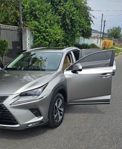Lexus NX-300 H Luxury 2.5 16V Aut. 2019