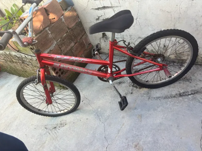 bike aro 20