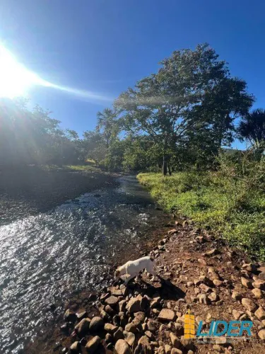 Fazenda à venda, AREA RURAL DE ARAGUARI - Araguari/MG