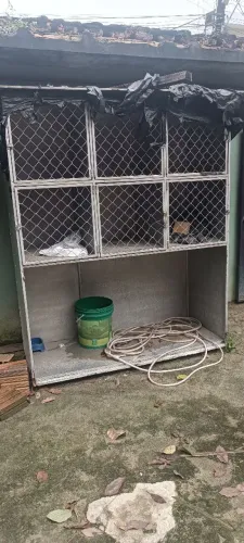 Baia para pet shop 