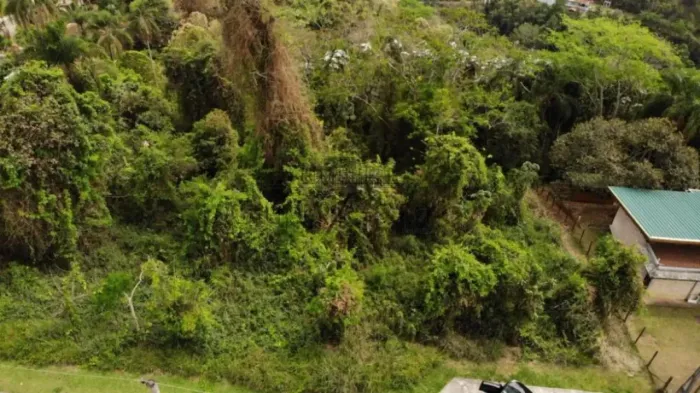 Terreno em Condomínio - Freitas - Residencial Village Alpino - 4.004m².