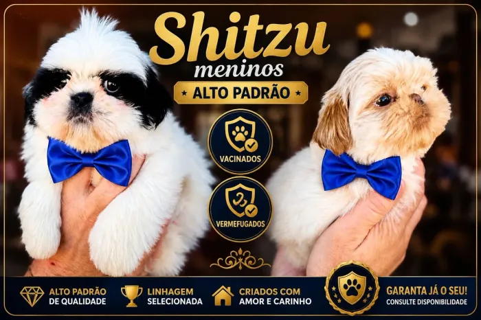 Shitzu