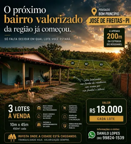 JOSÉ DE FREITAS-PI 