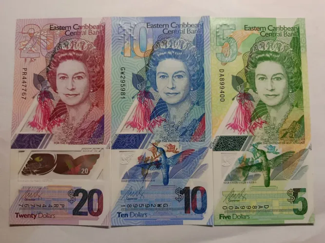 Cédulas de Polímero Caribe FE 5, 10, 20.