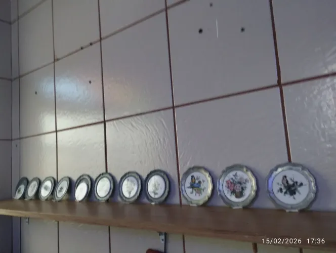 11 pratinhos de porcelana suíços para decoração