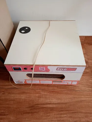 Chocadeira 120 ovos de galinha com 3 meses de uso 