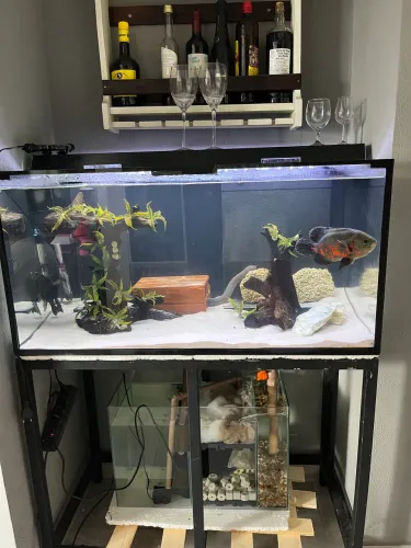 Aquário 200L completo com móvel