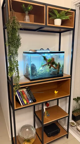Aquário 50 cm