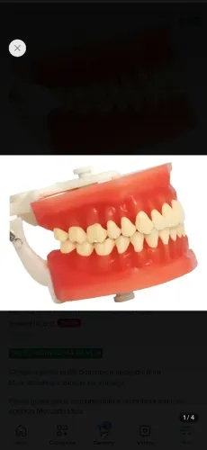 Macromodelo Odontologico Pronew Top - Estudantes E Demonst.