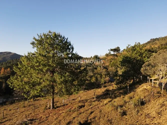 Lindo Terreno à Venda na Região do Parque da Água Santa - Campos do Jordão/SP