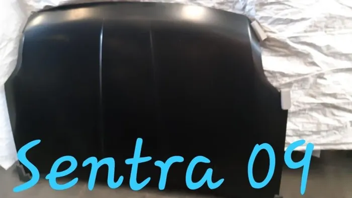 Capo sentra 2009