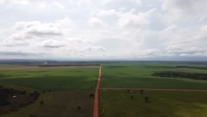 Fazenda em Rio dos Bois. Lavoura.