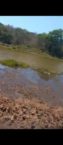 Fazenda Cristino Castro Piauí BR 135