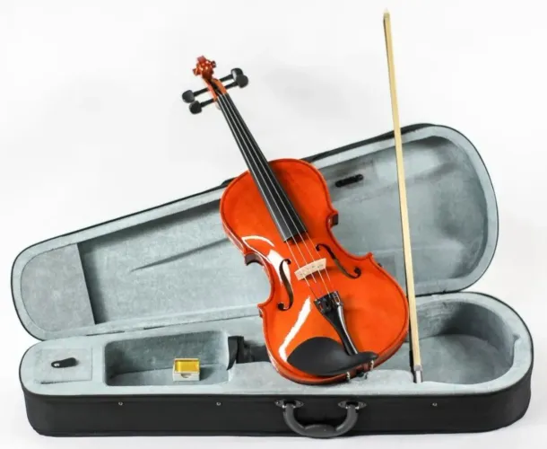 Viola de arco clássica Custom Strauss 42 NOVA