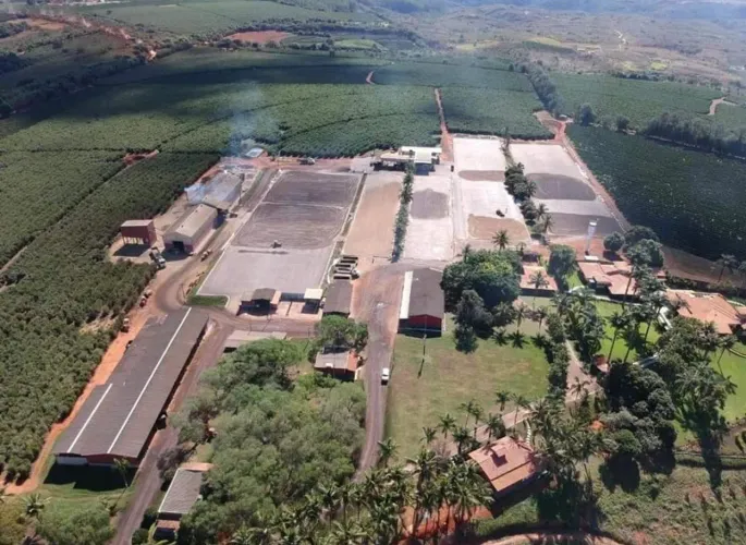 Fazenda de café
