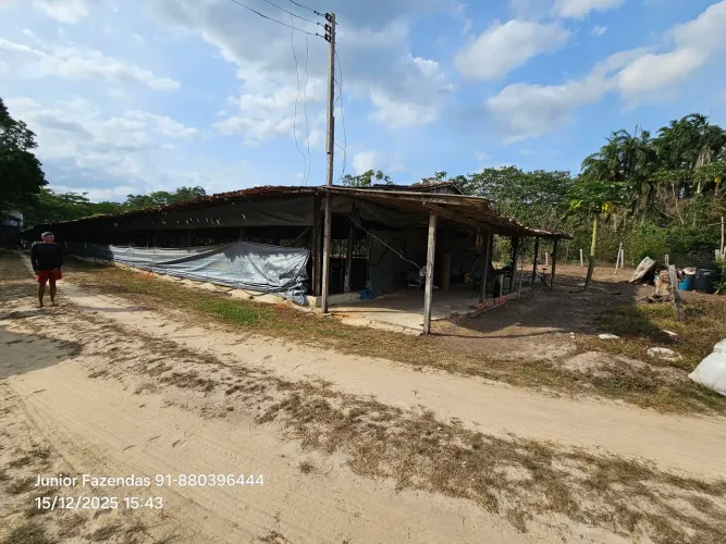 Granja pra 16 mil bicos há 25 km de Caatanhal R$ 450 mil reais