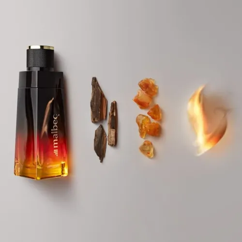 Malbec X Desodorante Colônia 100ml - Guistor Cosméticos
