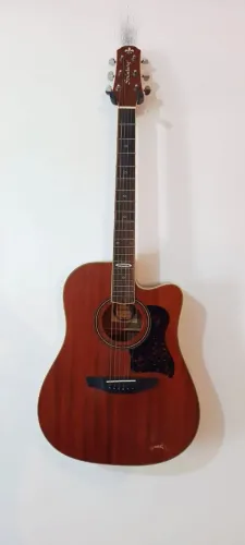Violão Steinberg SD20C