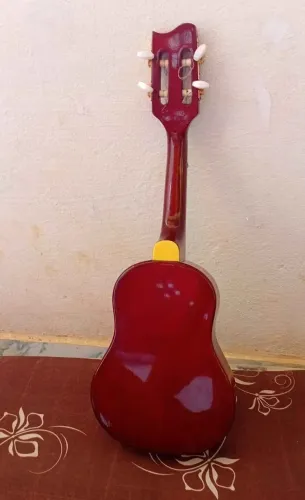 Cavaquinho elétrico