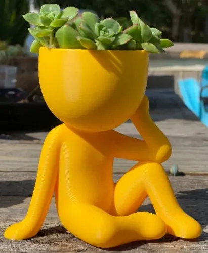 Vaso Pensador