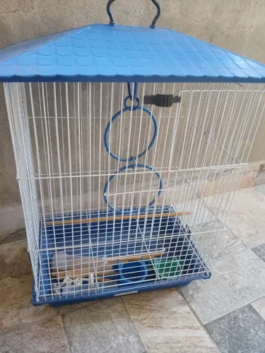 Gaiola pra calopsita e periquito