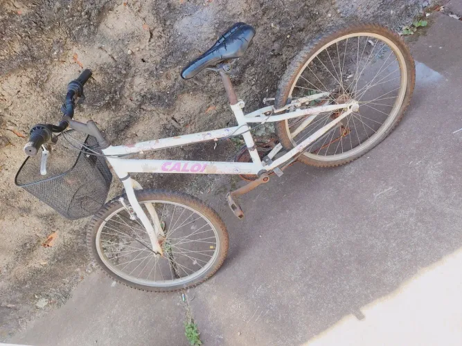 Bicicleta 