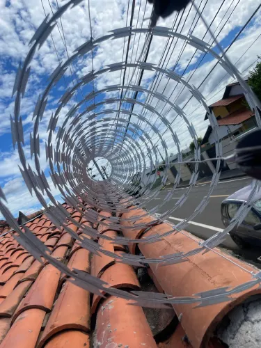 Cerca Elétrica ou Concertina