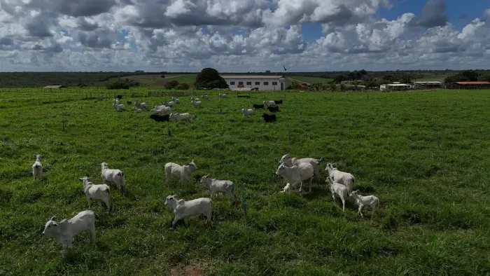 fazenda com 300 hectares com uma mega estrutura  em uma localização perfeita  e rica em ág