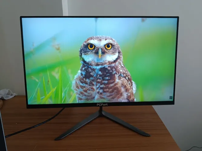 MONITOR GAMER - 165HZ - FULL HD 1920x1080 - 24,5 polegadas