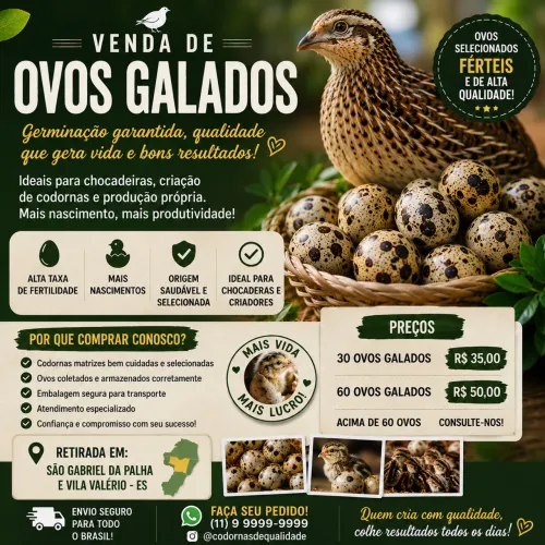 Ovos codorna Galados 