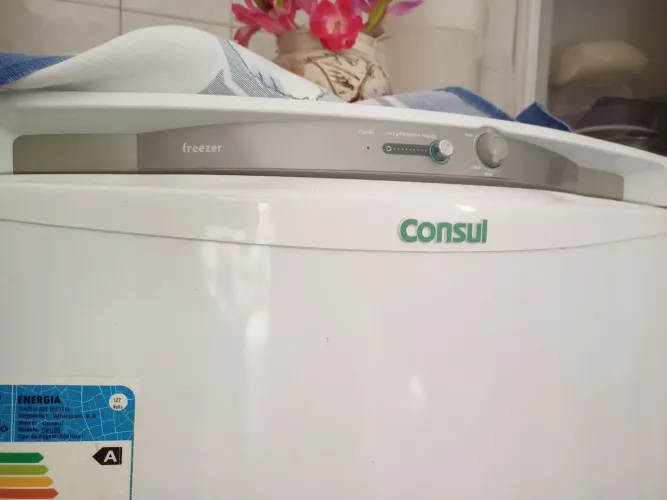 Vendo freezer ( VENDIDO)