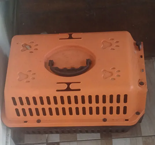 Caixa de transporte Para Animais de estimação