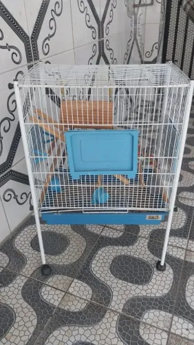 Gaiola para Calopsitas